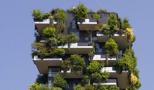 Sustainable Business Practices