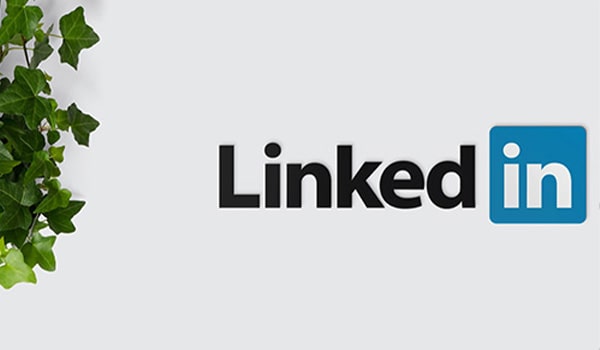 Social Media Platforms