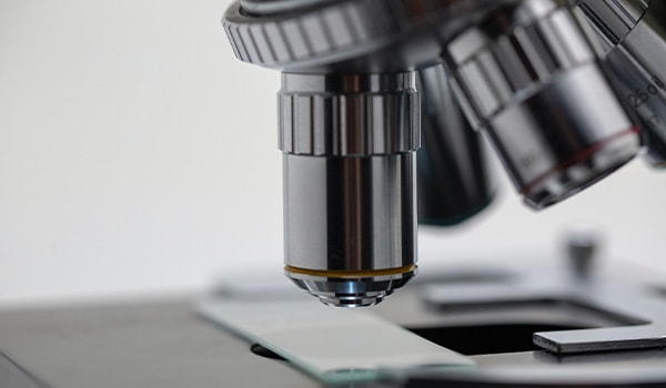 Social Media Platforms