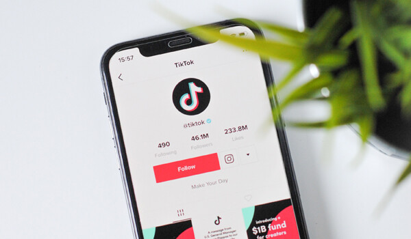 the new world of TikTok